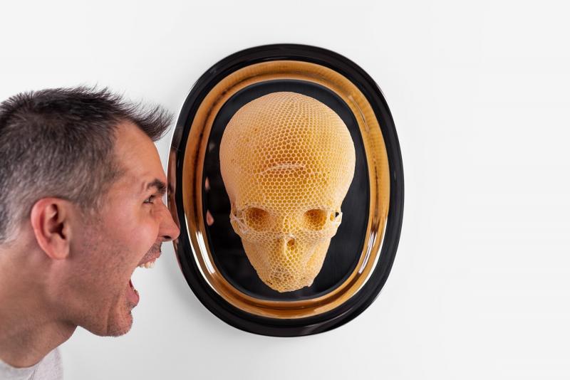 Томаш Либертини использует пчёл для создания серии скульптур из пчелиного воска «Memento vivere» 