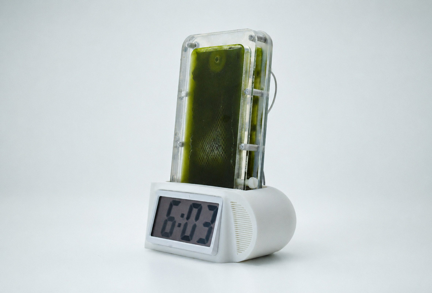 Батарейка из водорослей: как живые микроорганизмы могут заменить одноразовые батарейки