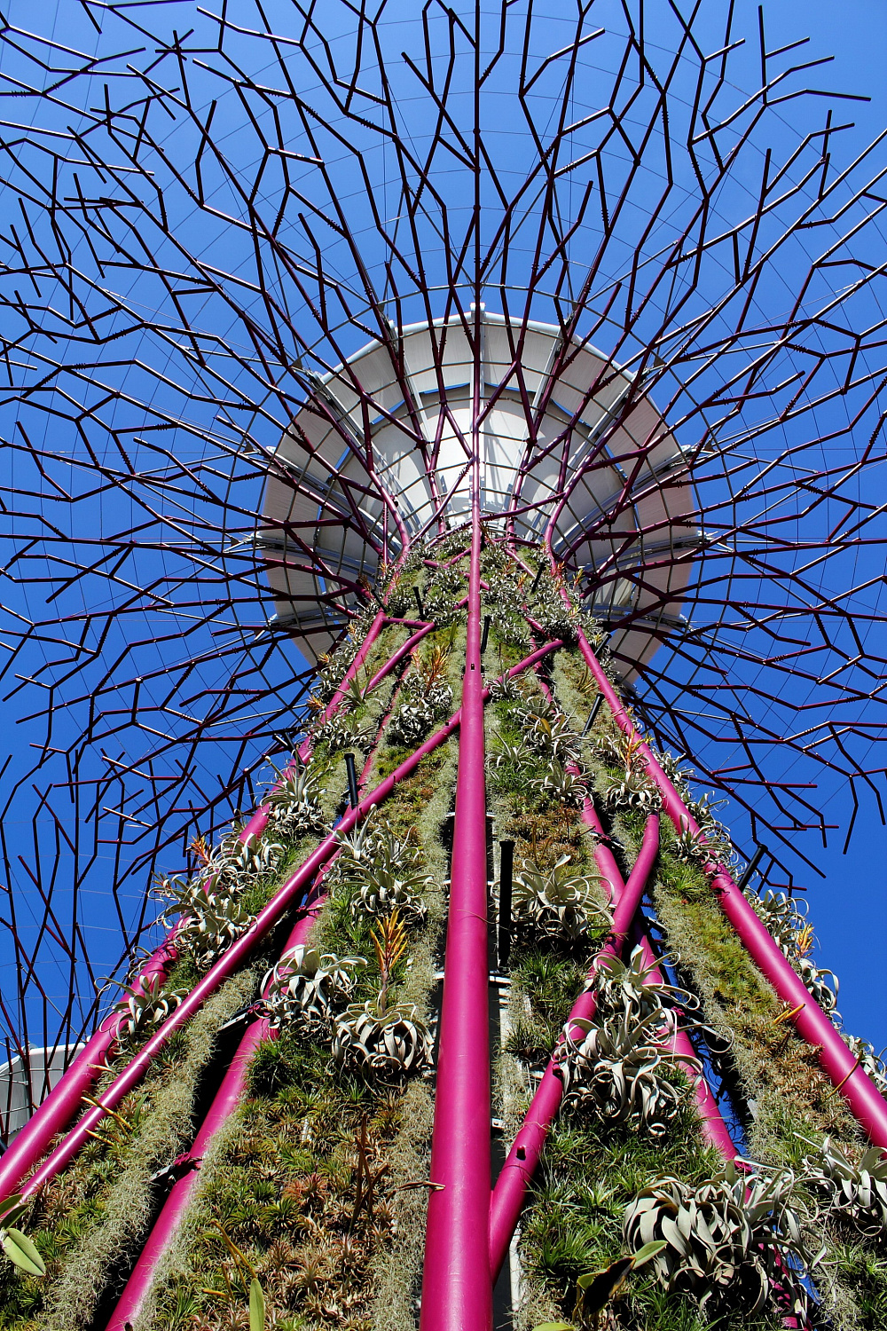 Gardens by the Bay: футуристический сад в Сингапуре, где природа встретилась с технологиями