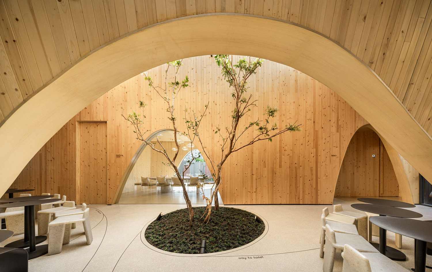 Дерево баобаб растёт в изогнутом кафе в Таиланде от IDIN Architects