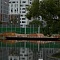 Конторский пруд, Москва, 2019 г. - фото от Punto Group